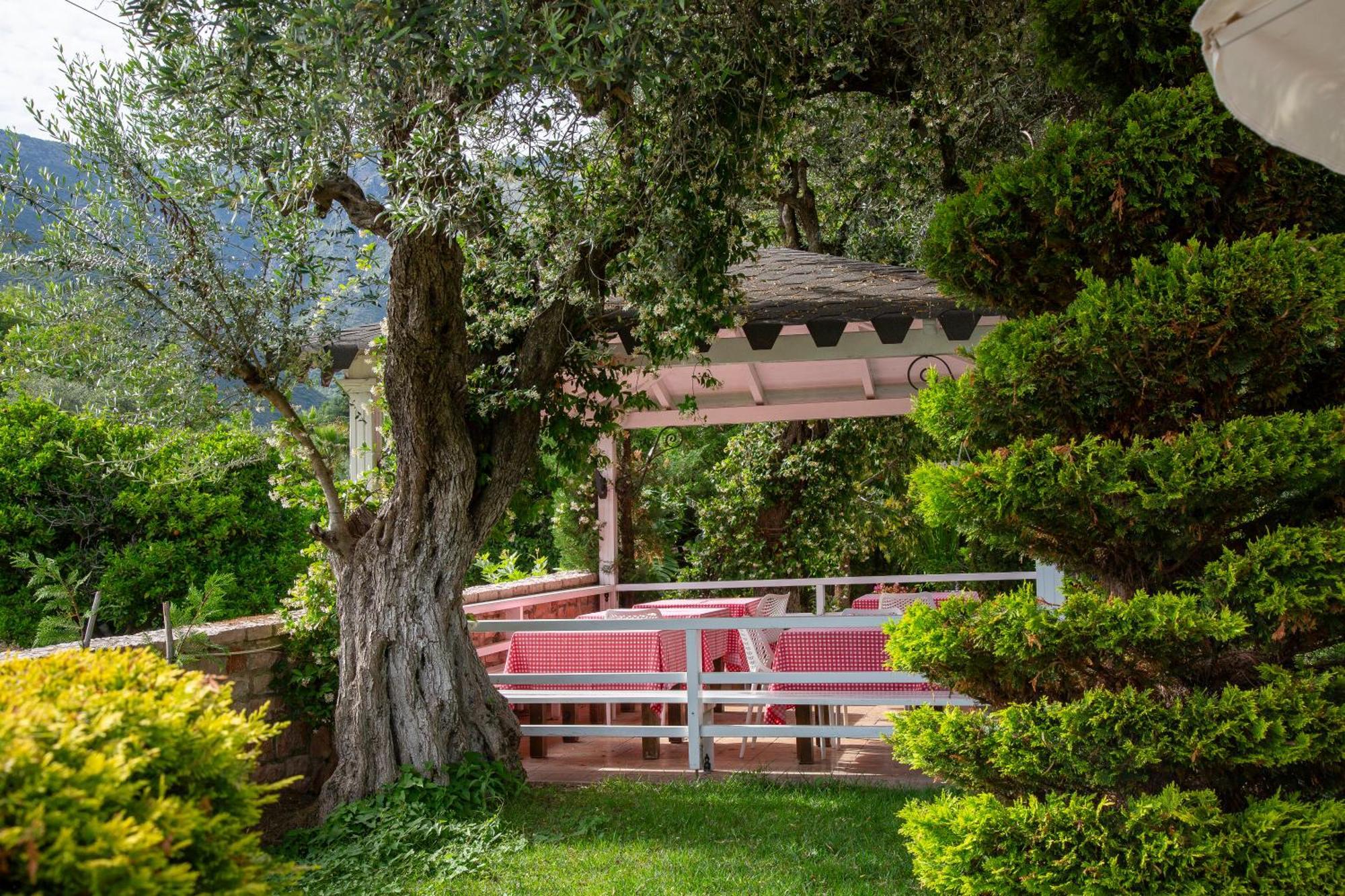 Vila Florika Hotel Borsh Kültér fotó