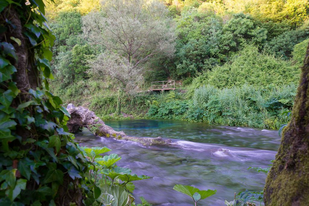 Vila Florika Hotel Borsh Kültér fotó