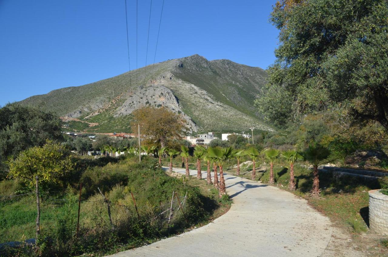 Vila Florika Hotel Borsh Kültér fotó